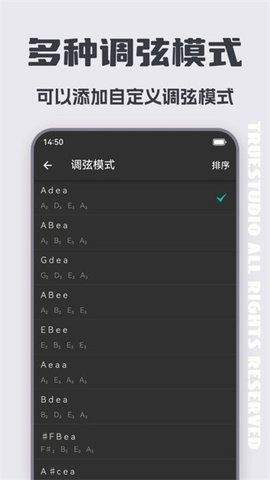 智能琵琶调音器