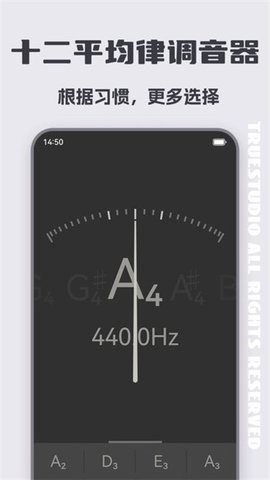 智能琵琶调音器