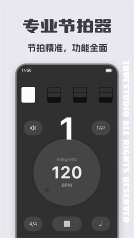 智能琵琶调音器