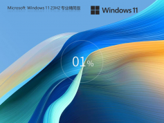 Win11 23H2专业精简版 | Win11 64位免TPM版下载
