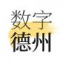 数字德州官方正版