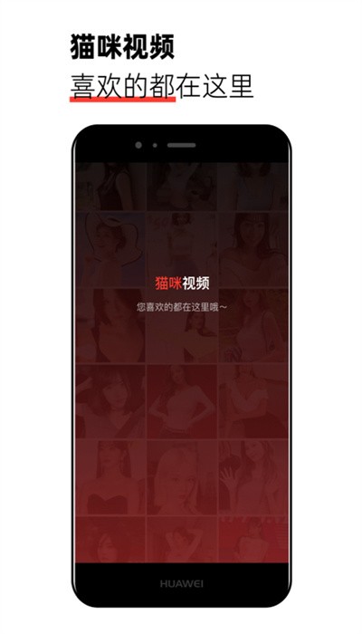 猫咪视频官网版