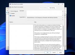 Win11 24H2 怎么禁用 Recall AI 回顾功能