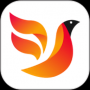 火鸟门户app手机版