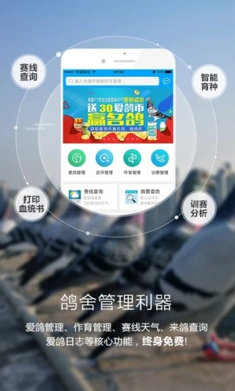 爱鸽者app手机版