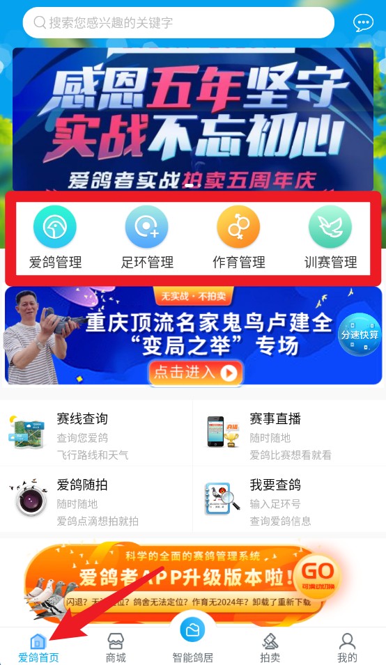 爱鸽者app手机版