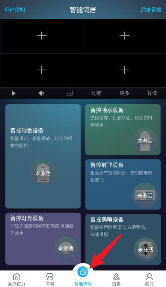 爱鸽者app手机版