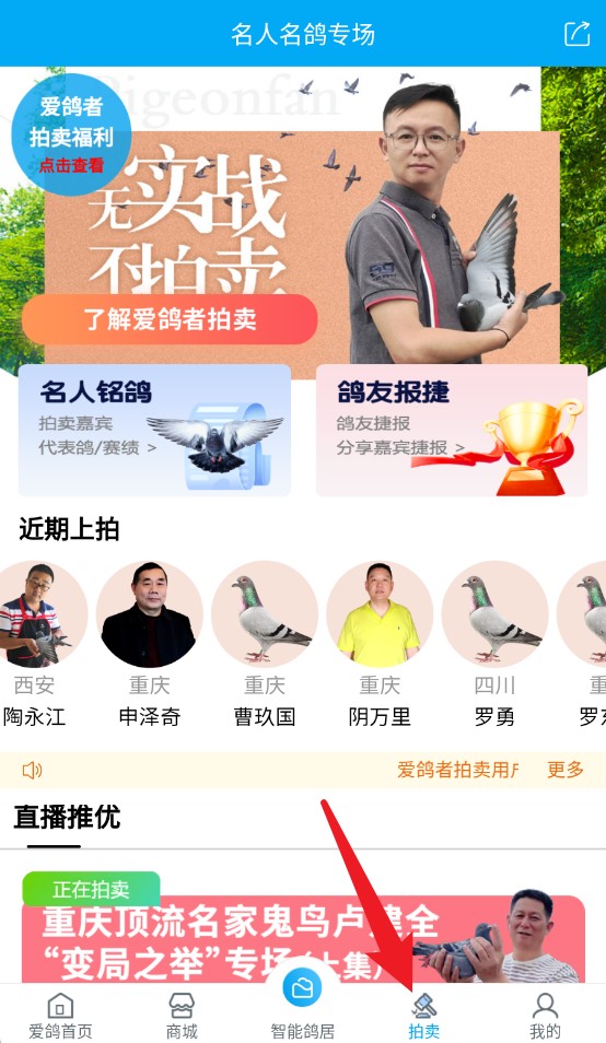 爱鸽者app手机版