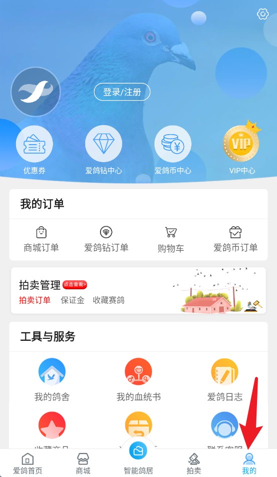 爱鸽者app手机版