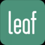 一叶单词正式版