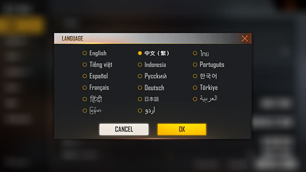 自由开火:我要活下去MAX安装器