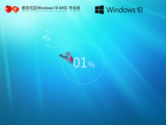番茄花园Windows10定制版系统下载 | Windows10专业中文版64位