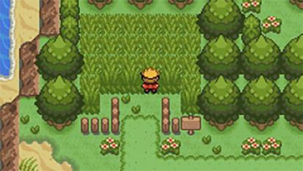 口袋妖怪釉色最新版