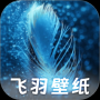 飞羽壁纸高清
