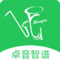 卓音智谱