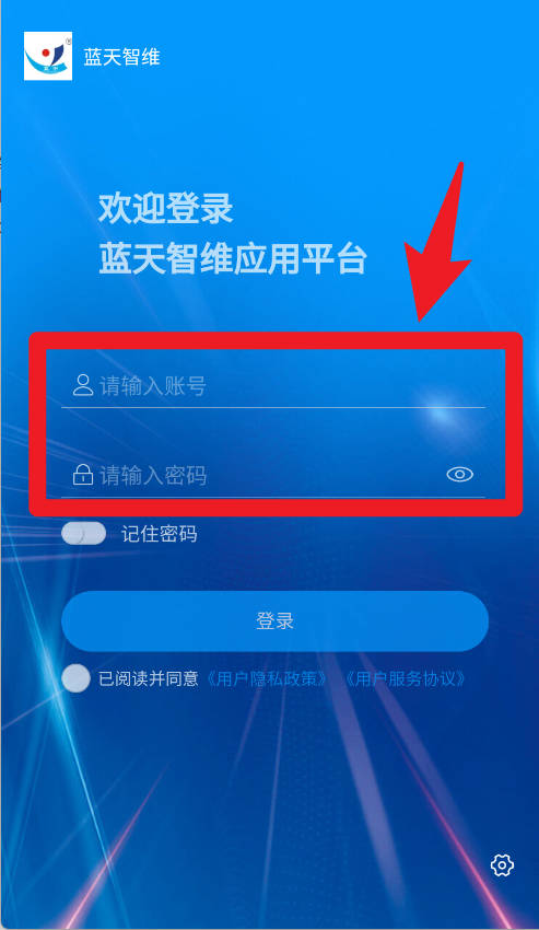 蓝天智维中文版