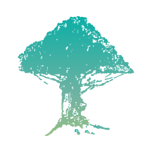 树兰医生 v2.10.31手机版