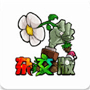 植物大战僵尸杂交版