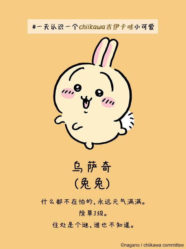 口袋吉伊卡哇国际服