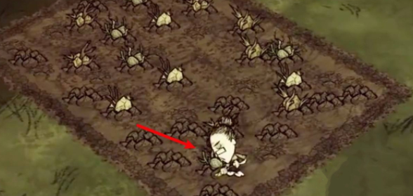 饥荒手游安卓最新版