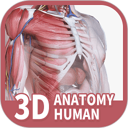 口袋人体解剖最新版 v3.1.14官网版