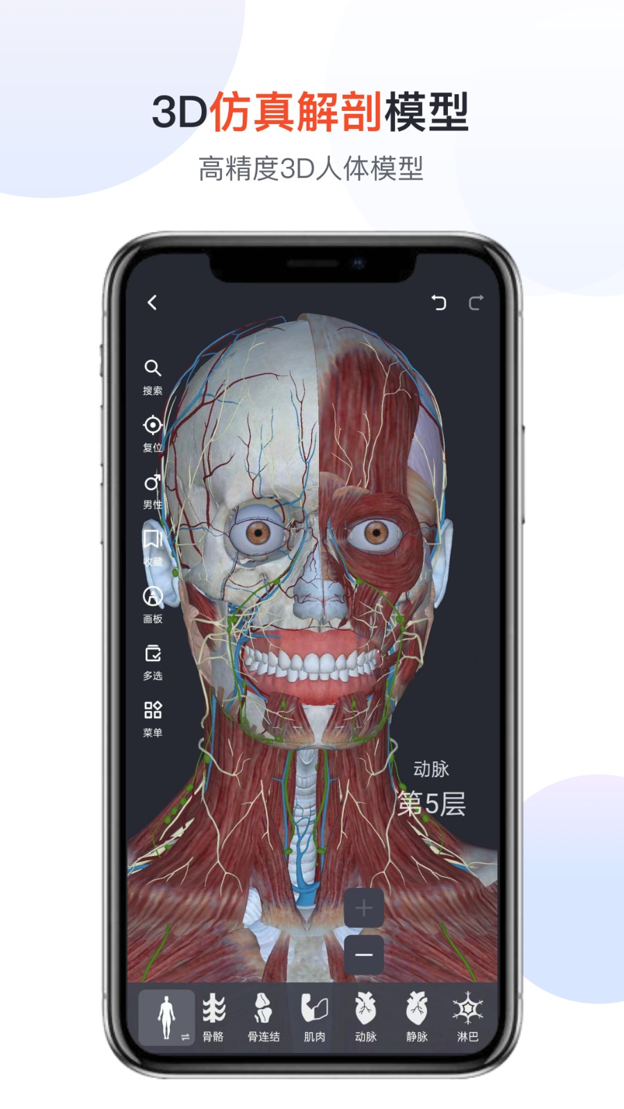 口袋人体解剖最新版