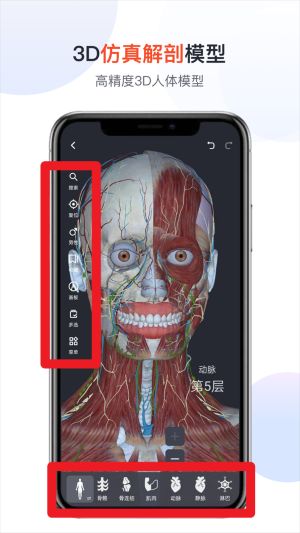 口袋人体解剖最新版