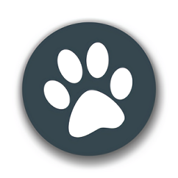 兽音译者正式版 v1.5最新版