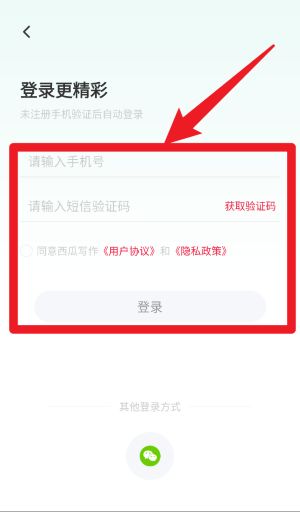 西瓜写作最新版