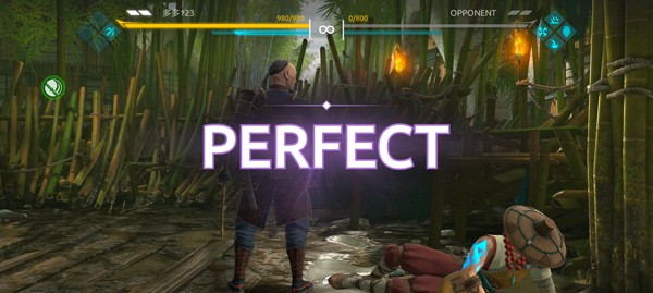 暗影格斗4官方优化版