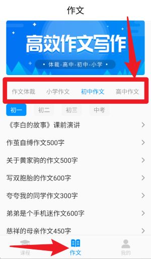 写作文辅导正式版