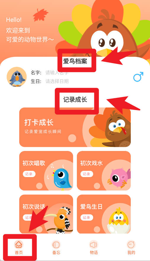 鹦鹉翻译器最新版