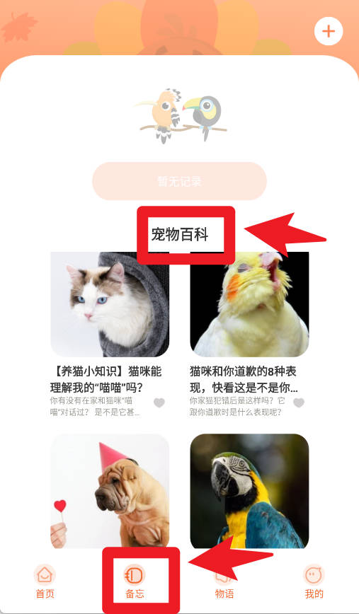 鹦鹉翻译器最新版