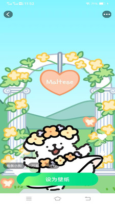 天天免费换壁纸