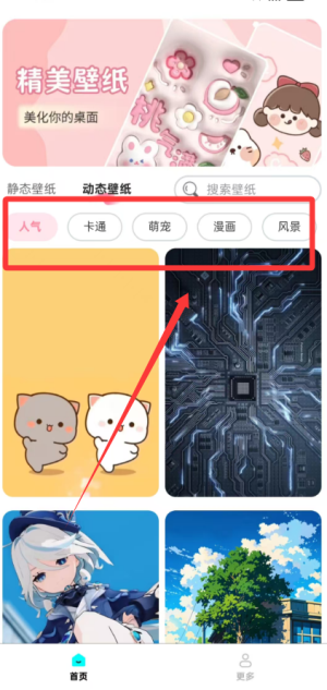 天天免费换壁纸
