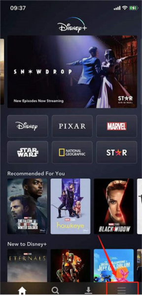 DisneyPlus
