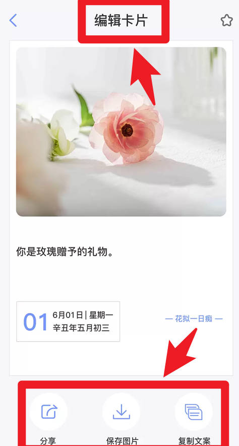 句子文案控免费版