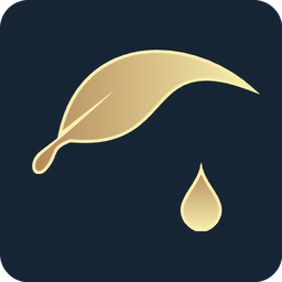 安果日记正式版