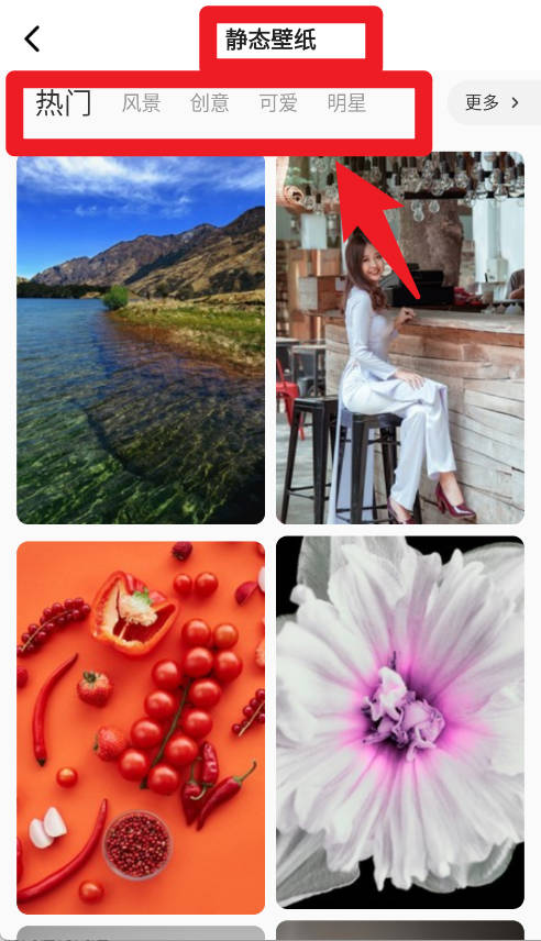 高清动态壁纸大全最新版