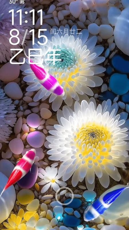 荷花锦鲤壁纸app官方版
