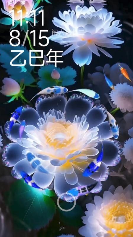 荷花锦鲤壁纸app官方版