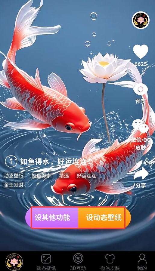 荷花锦鲤壁纸app官方版