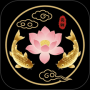 荷花锦鲤壁纸app官方版