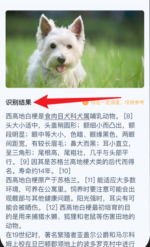 墨茉扫描官网版