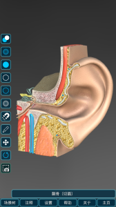人体解剖学图集