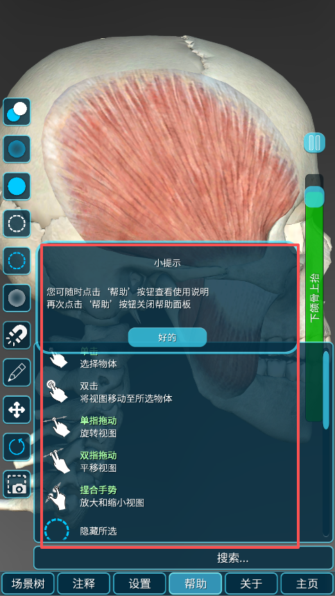 人体解剖学图集