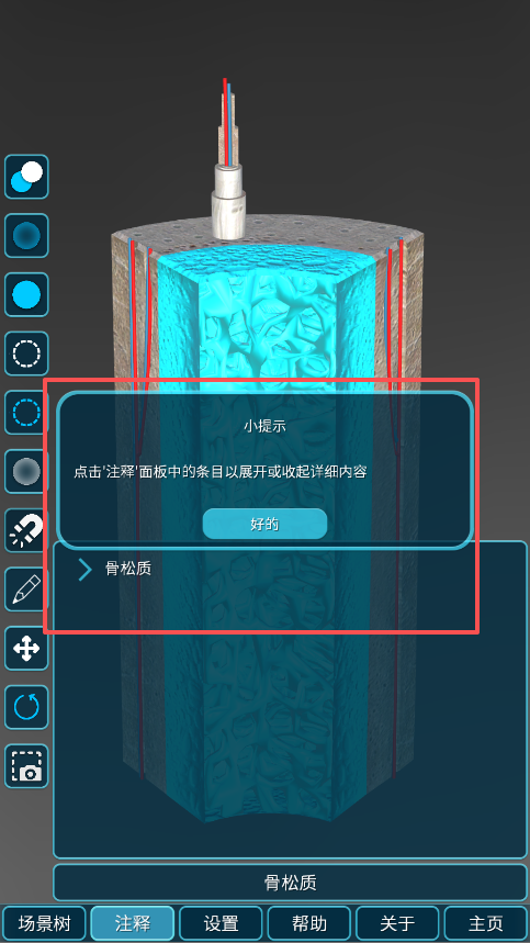 人体解剖学图集