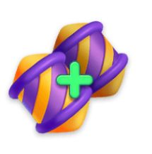 花田小院国际服