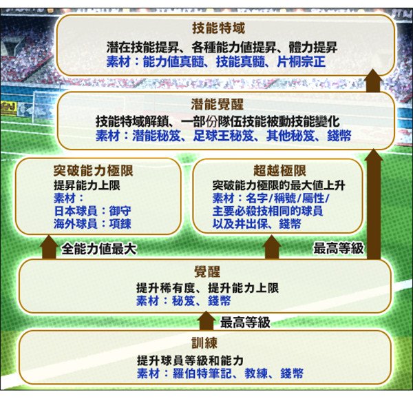 足球小将翼梦之队伍