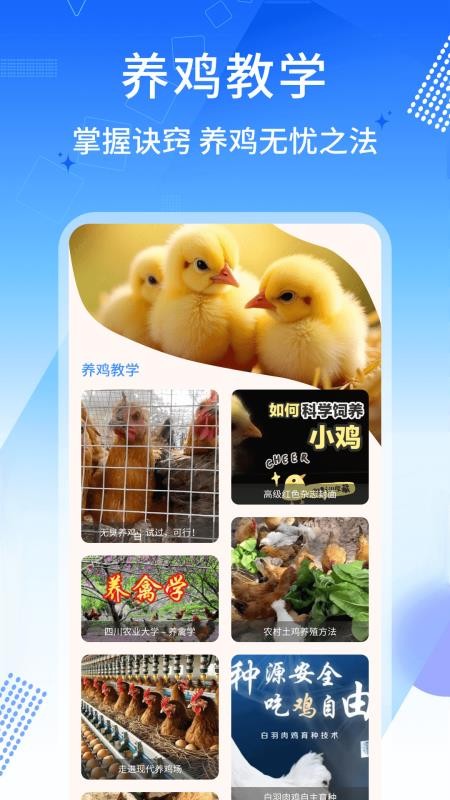 养鸡宝app